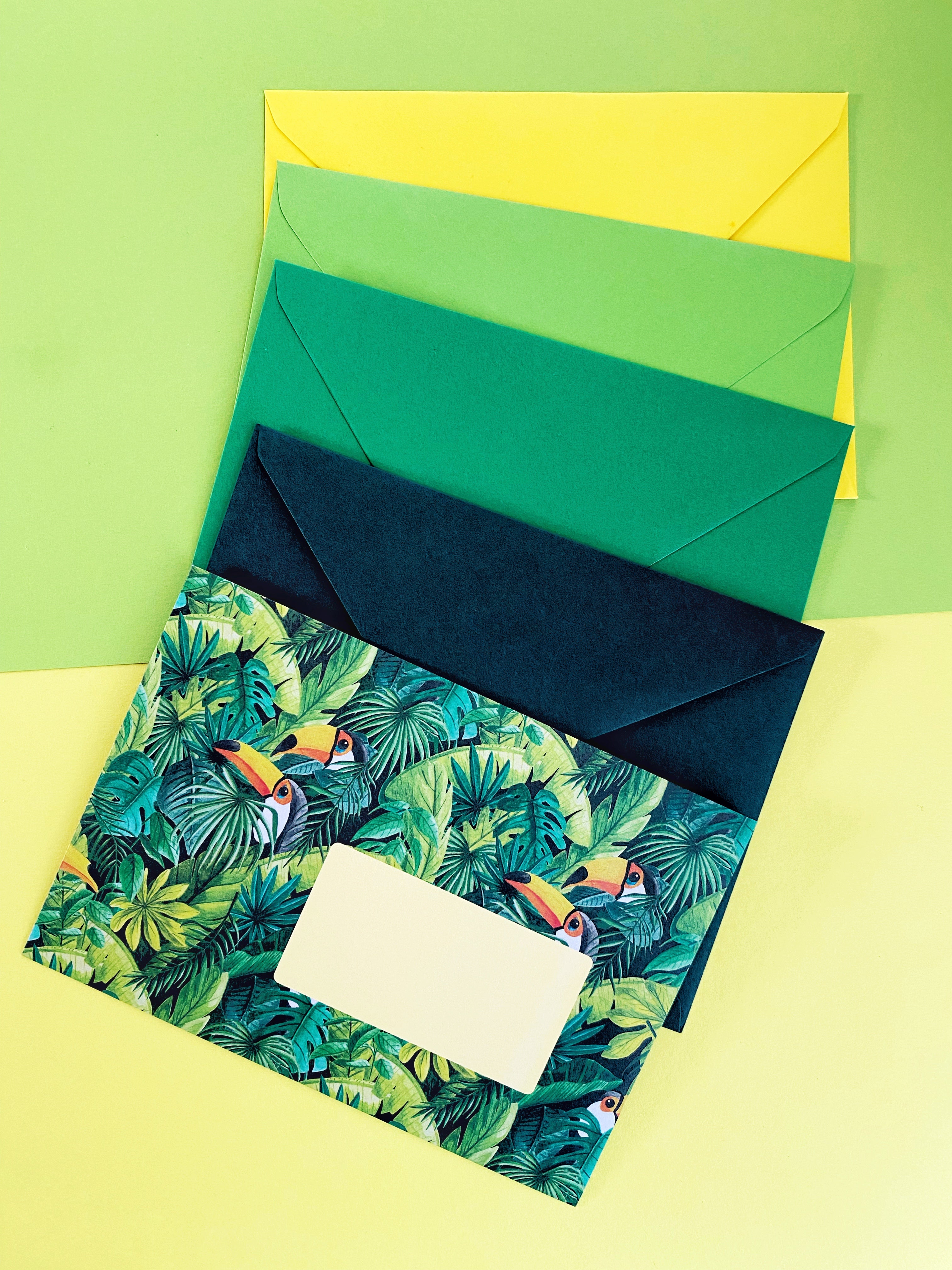 SET 10 ENVELOPES save the toucans