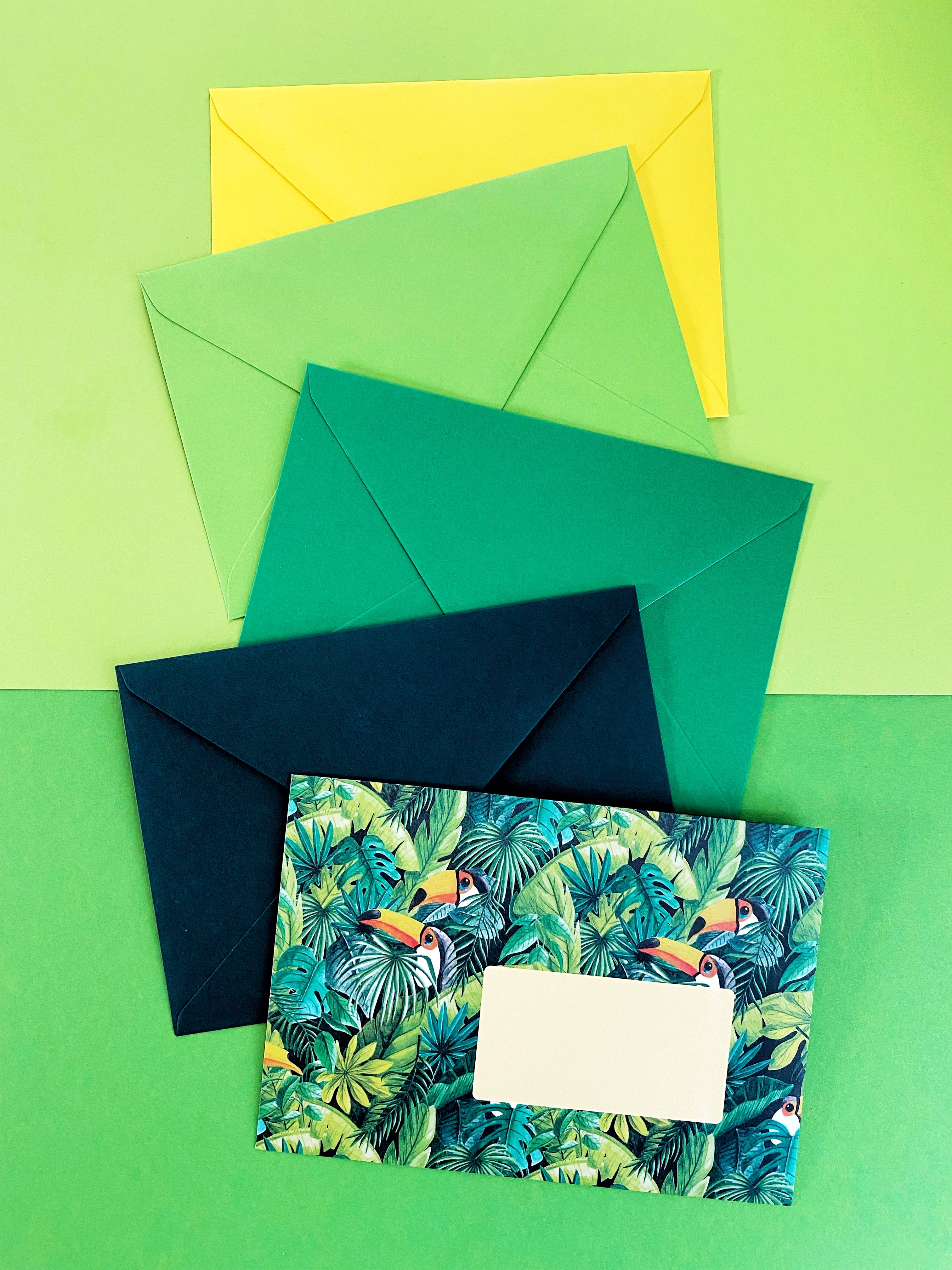 SET 10 ENVELOPES save the toucans