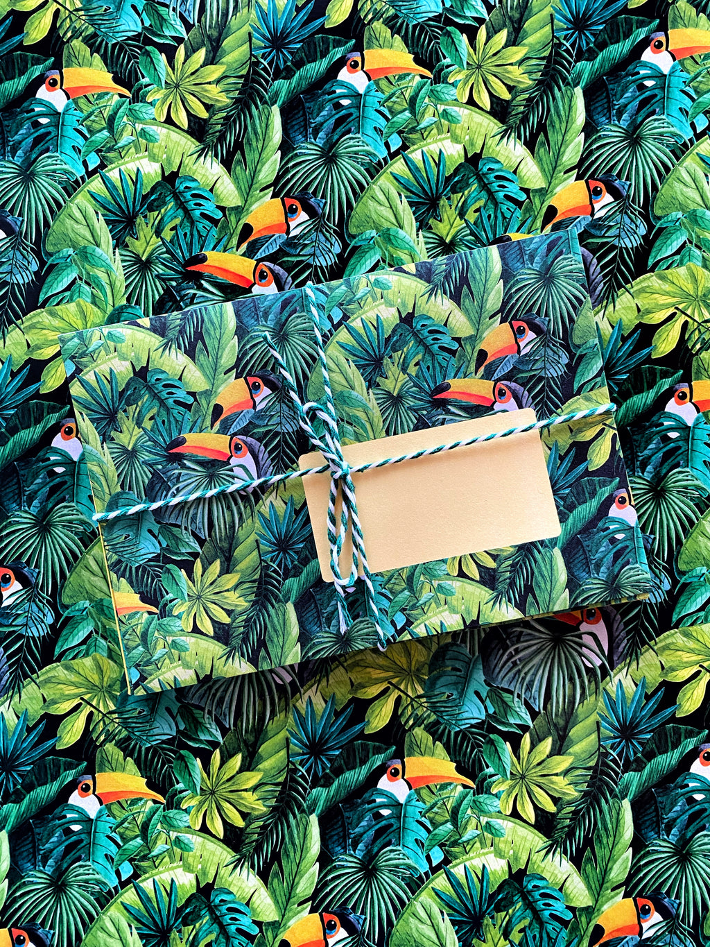 SET 10 ENVELOPES save the toucans