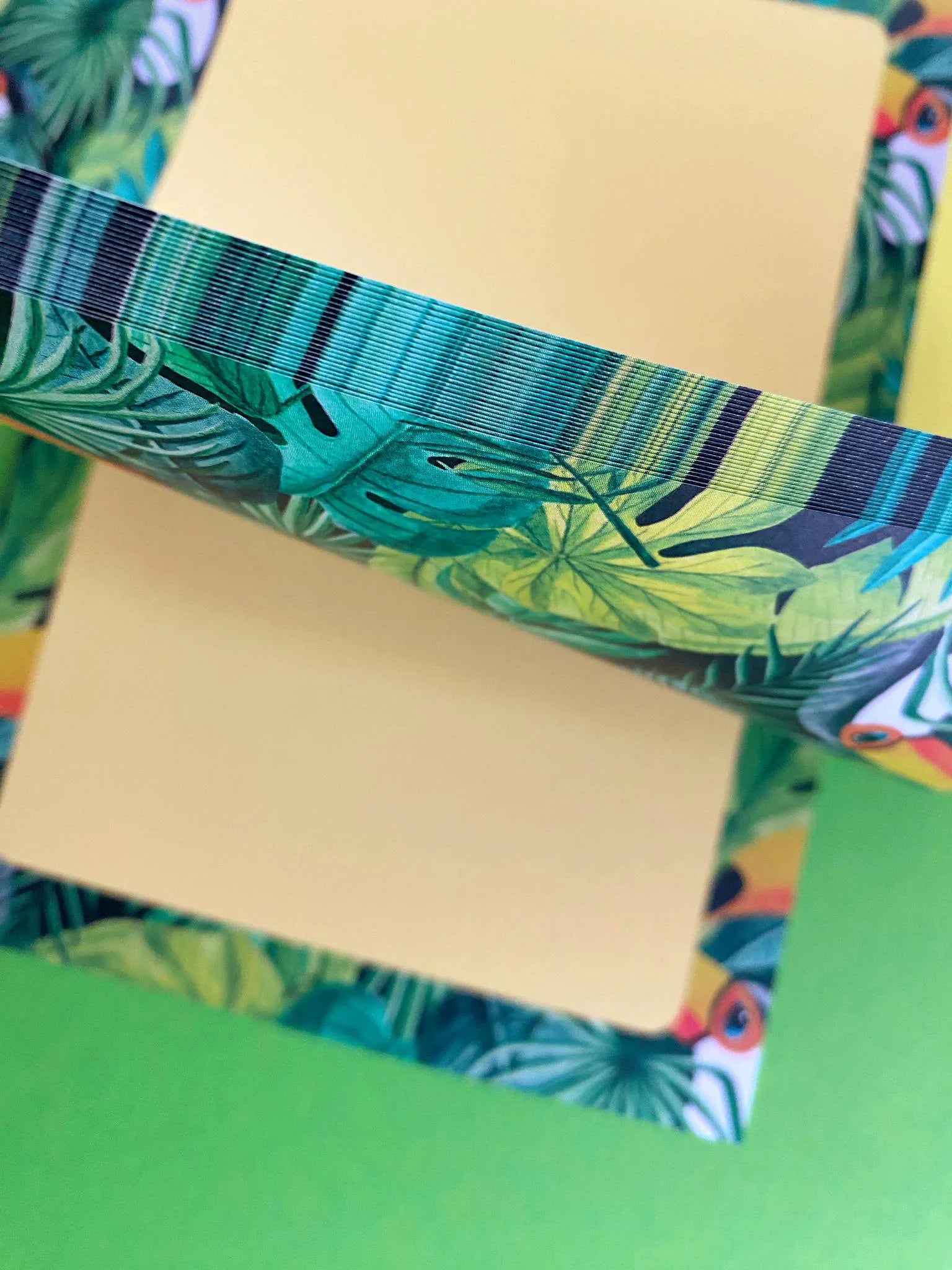 BUNDLE save the toucans